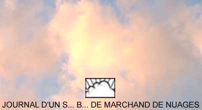 Journal d'un s...b... de marchand de nuages